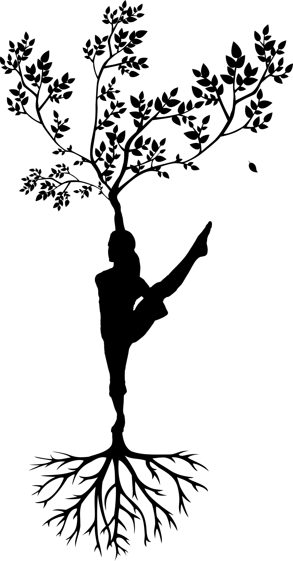 Beckenboden